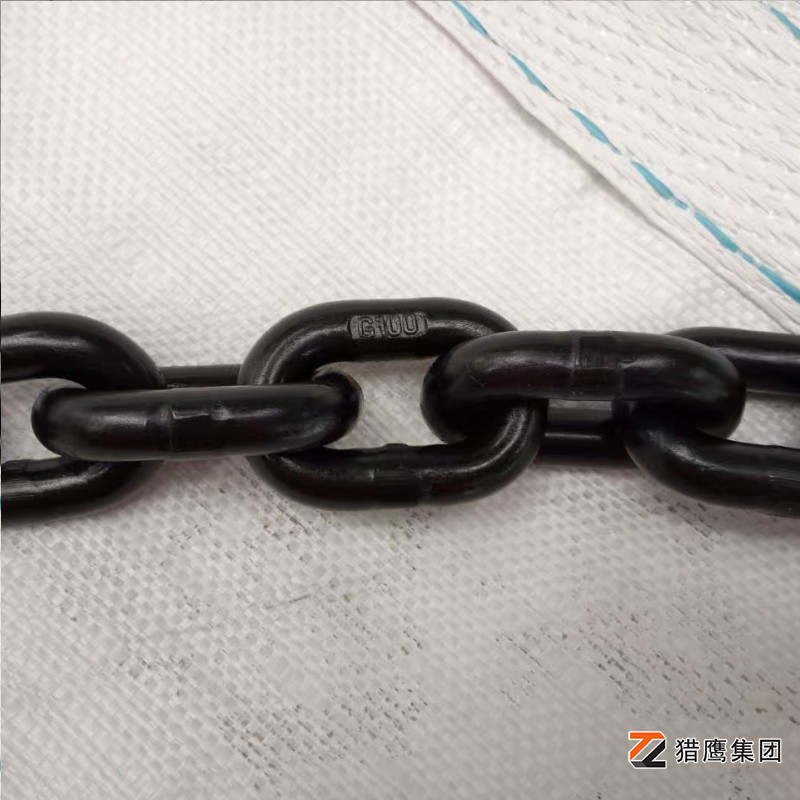 河北起重鏈條廠家有哪些？精選優(yōu)質供應商推薦